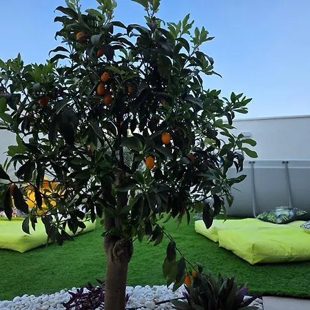 M4ree Seaside & Relax * Bari